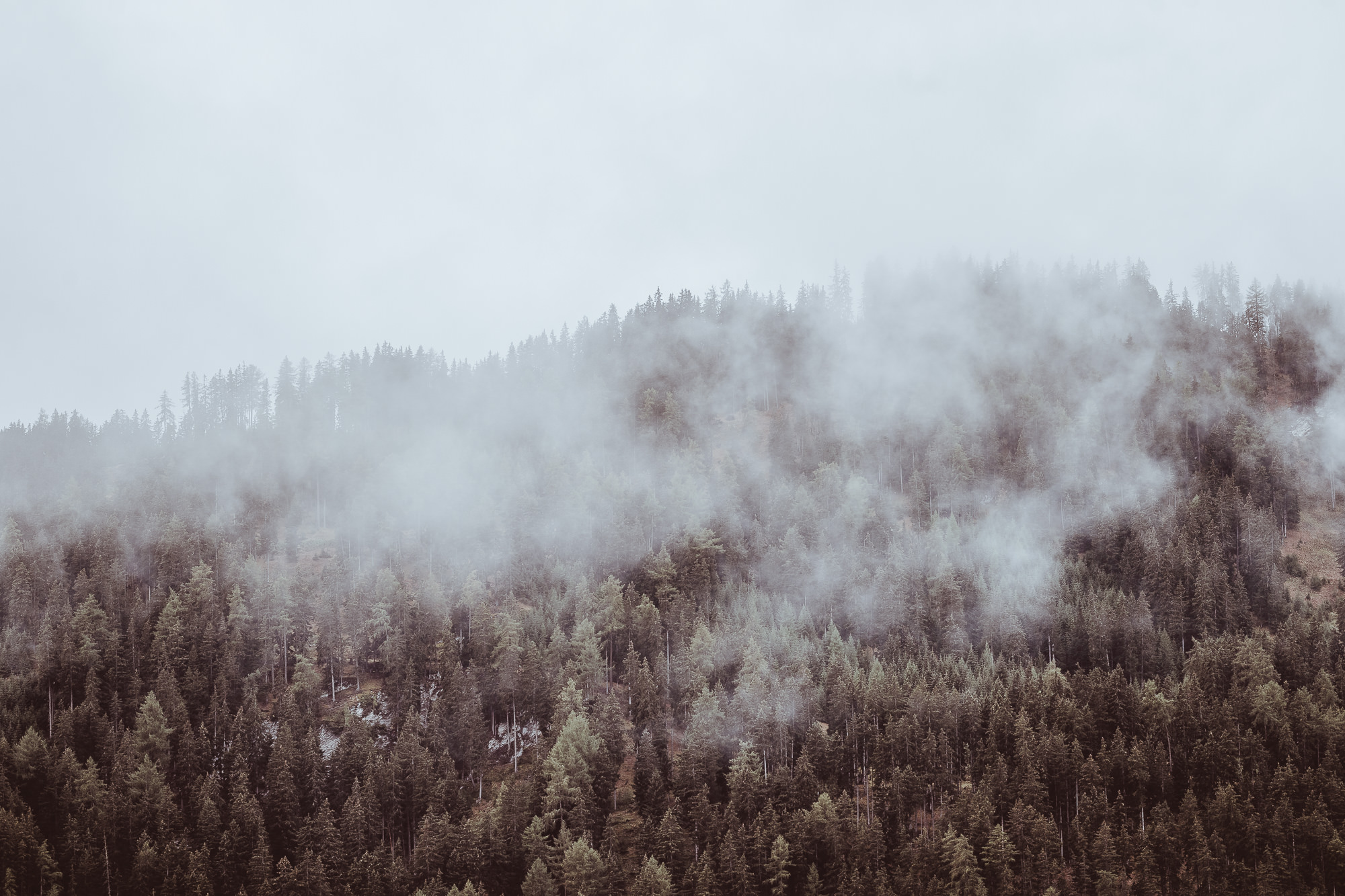 Export x3 1DX23852 Fotoshooting 2018 Annette & Mike Nauders